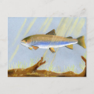 This Award Winning artwork features the Brook Trou Postcard