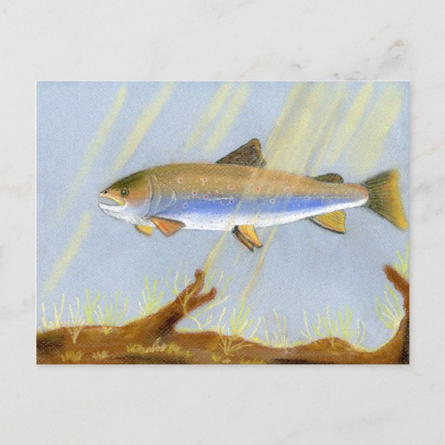 This Award Winning artwork features the Brook Trou Postcard (Front)