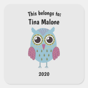 This Belongs to Back to School Blue Owl Grey Square Sticker