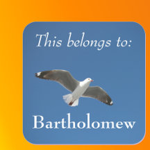 This Belongs To Blue Sky Seagull Photo