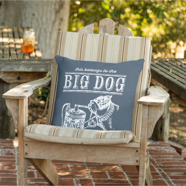 This belongs to the Big Dog Cushion (Chair)