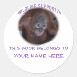 "This book belongs to" label