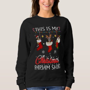 This Christmas Pajama Saint Bernard In Socks Dog Sweatshirt