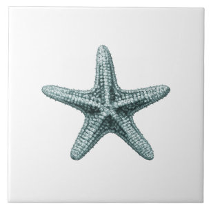 This classic antique typographic sea starfish desi ceramic tile