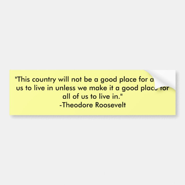 "This country will not be a good place for any ... Bumper Sticker (Front)
