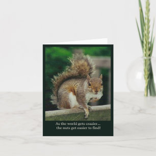 This crazy world makes the nuts easier to find card