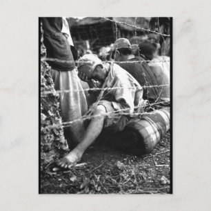 This disconsolate Japanese prisoner_War Image Postcard