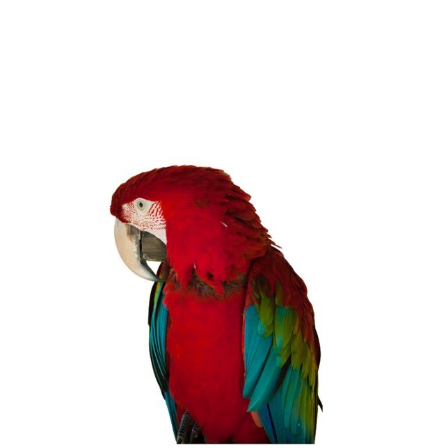 This elegant t-shirt design hoodie (Creator Uploaded)