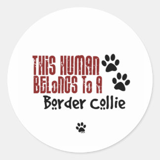 This Human Belongs to a Border Collie Classic Round Sticker