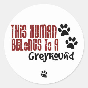 This Human Belongs to a Greyhound Classic Round Sticker
