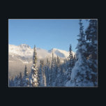 This is a beautiful picture in Whistler Canada Postcard<br><div class="desc">This is a picture I took,  while crossing between the two mountains on the gondola in Whistler Canada. Obviously,  it’s a shot during the winter as the snow was covering all of the trees and making it look just beautiful.</div>