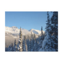 This is a beautiful picture in Whistler Canada