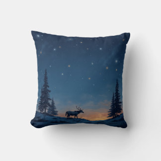 This is a starry night pillow cushion.
