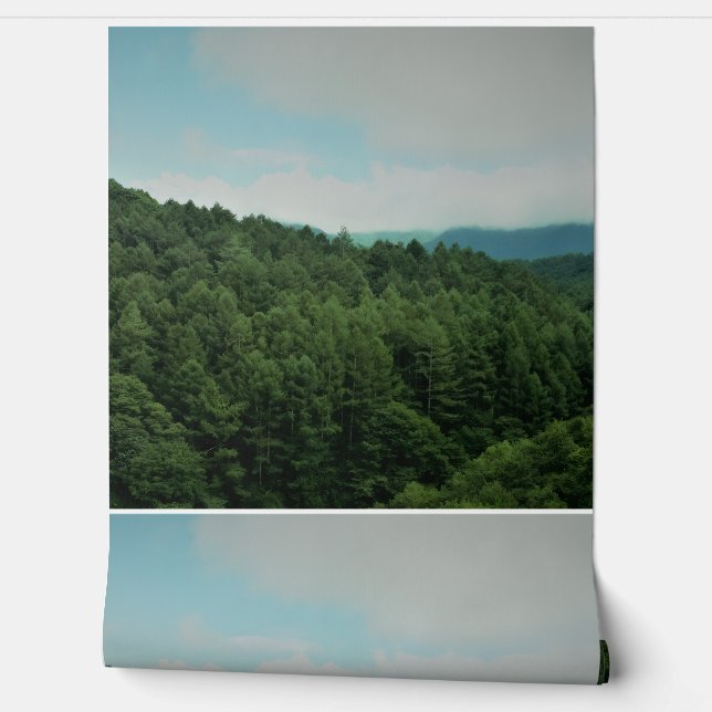 this is a wallpaper and other product. (Unrolling)