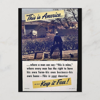 This Is America Keep It Free! Postcard