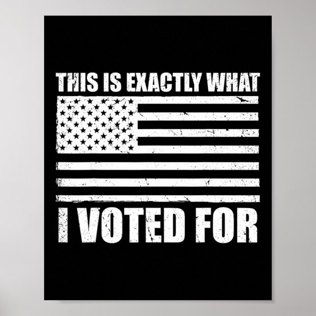 This Is Exactly What I Voted For _1  Poster (Front)