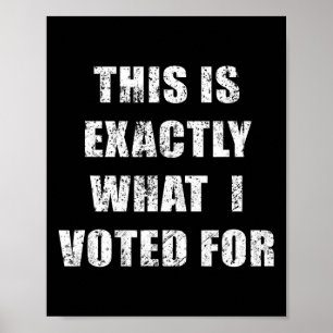 This Is Exactly What I Voted For Poster