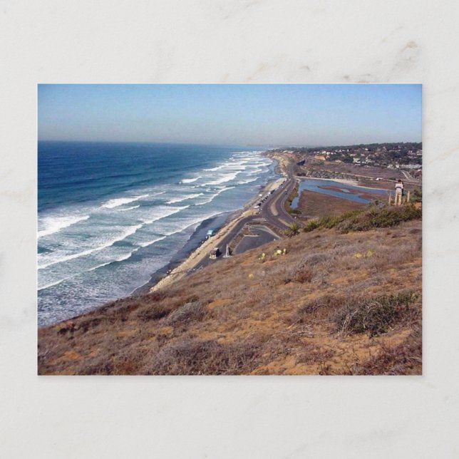 This Is From Torrey Pines State Park Postcard (Front)