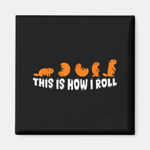 This Is How I Roll Groundhog Cute Groundhog Day Fu Magnet
