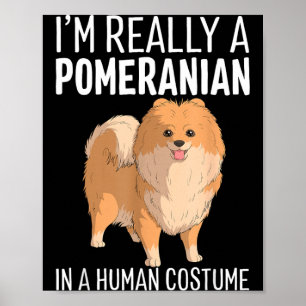 This Is Human Costume A Pomeranian Dog Halloween Poster