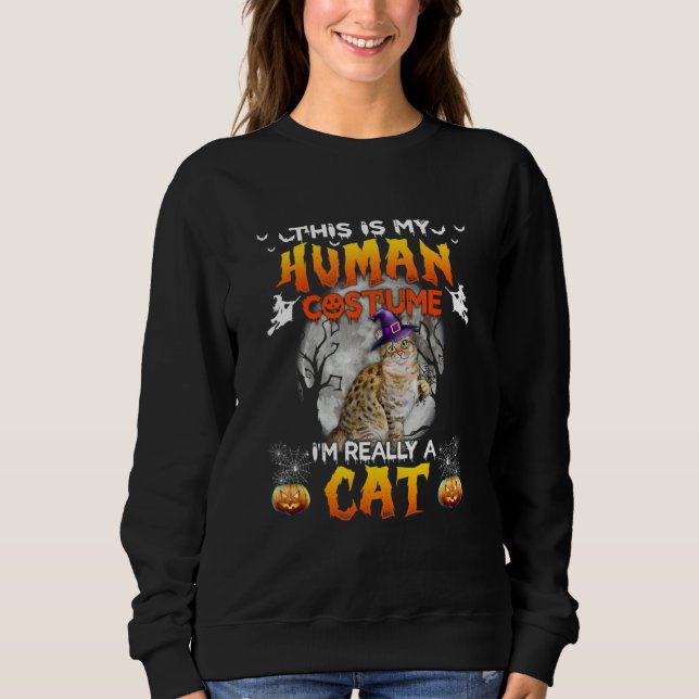 This Is My Human Costume I'm Really A Cat Hallowee Sweatshirt (Front)