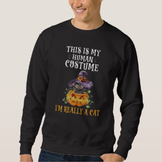 This Is My Human Costume I'm Really A Cat Pumkin H Sweatshirt