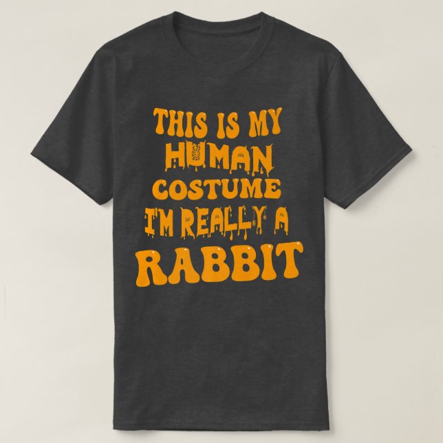 This Is My Human Costume I'm Really A Rabbit Groov T-Shirt (Design Front)