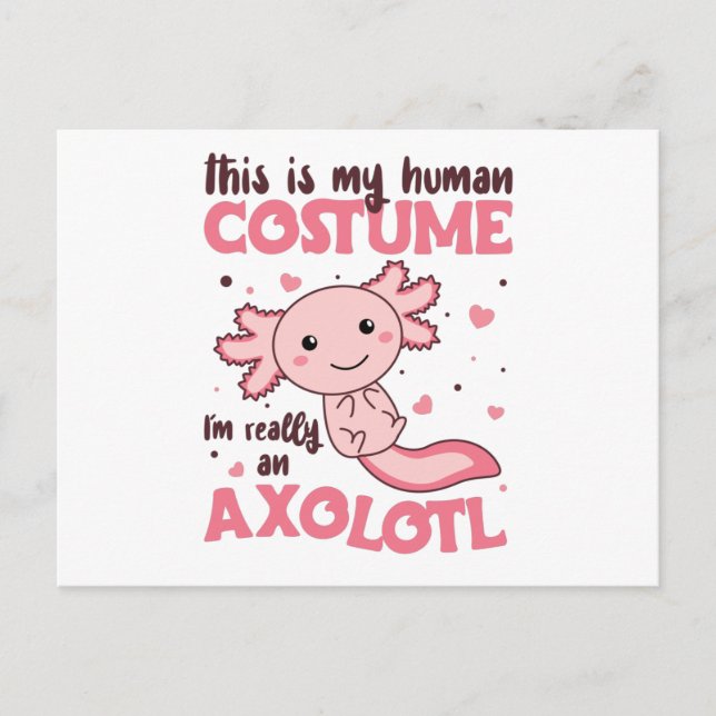 this is my human costume im really an axolotl postcard (Front)