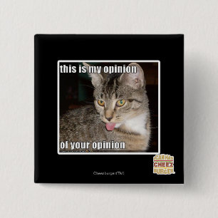 this is my opinion 15 cm square badge