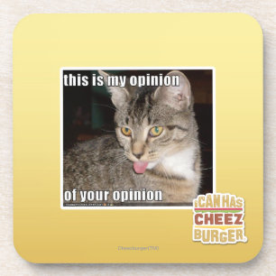 this is my opinion coaster
