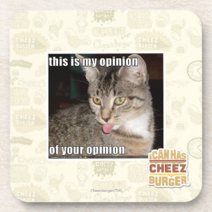 this is my opinion coaster