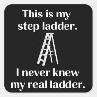 This Is My Step ladder Sarcasm Laughs Funny Saying