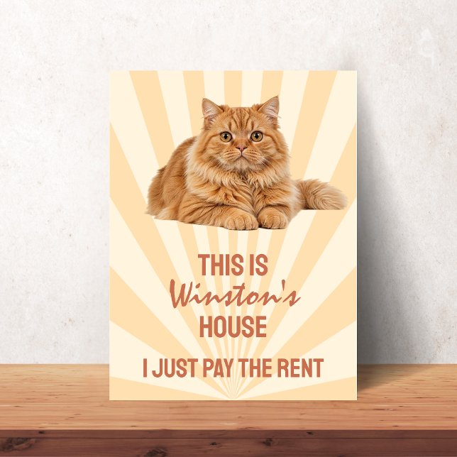 This is the Cat's House I just pay Cat Custom Poster (This is the Cat's House I just pay Cat Custom Poster)