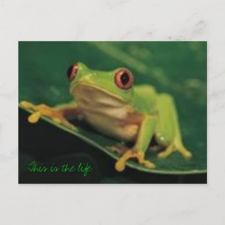 This is the life postcard