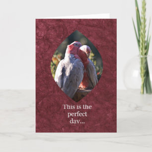 This is the perfect day holiday card