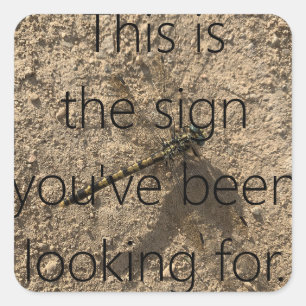 This is the sign you've been looking for. square sticker
