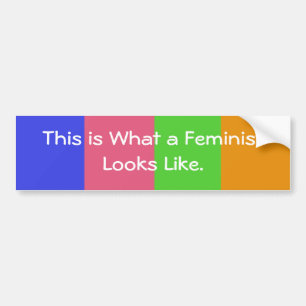 This is What a Feminist Looks like. Bumper Sticker