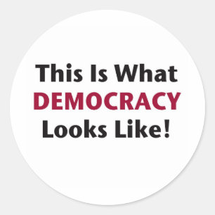 This is What Democracy Looks Like! Classic Round Sticker