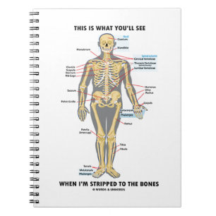 This Is What You'll See When I'm Stripped To Bones Notebook