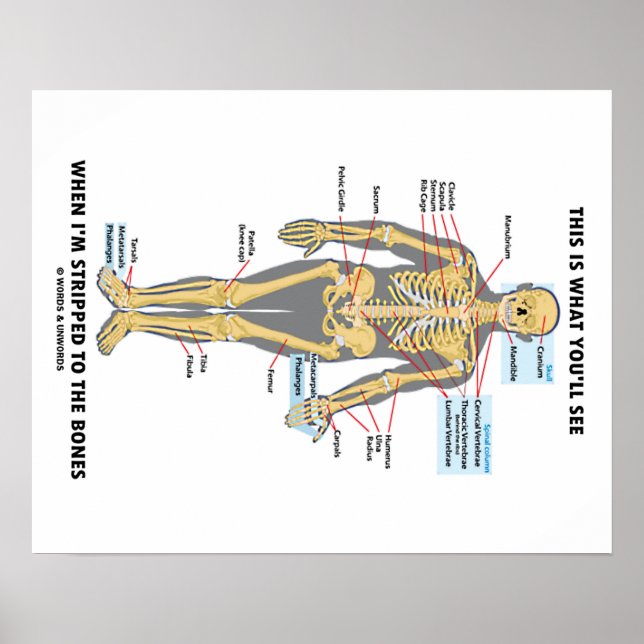 This Is What You'll See When I'm Stripped To Bones Poster (Front)