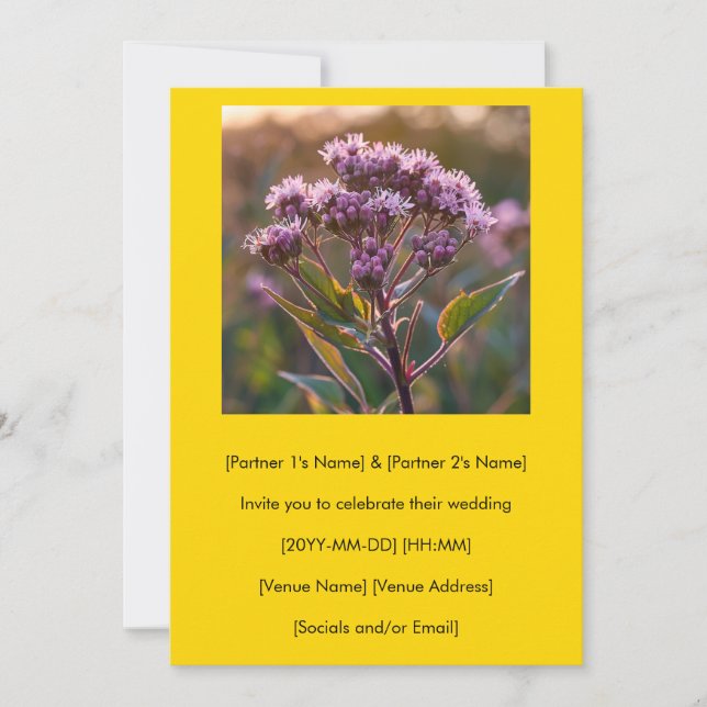 This Is Your Fall Joe-Pye Weed  Invitation (Front)