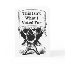 This Isn’t What I Voted For