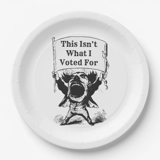This Isn’t What I Voted For Paper Plate (Front)