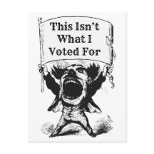 This Isn’t What I Voted For