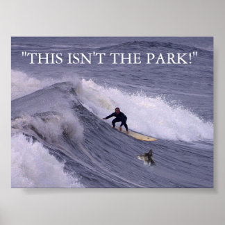 THIS ISN'T THE PARK! POSTER