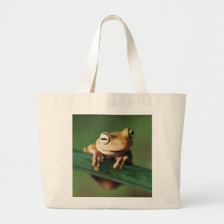 This Little Frog Bag