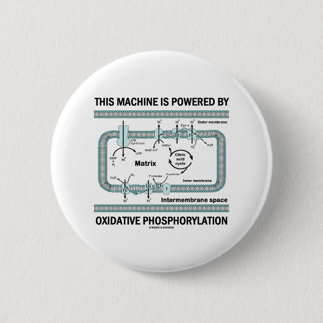 This Machine Powered By Oxidative Phosphorylation 6 Cm Round Badge (Front)