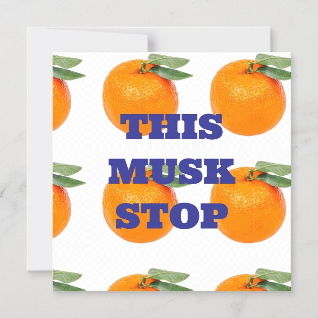 THIS MUSK STOP MAGNET (Front)