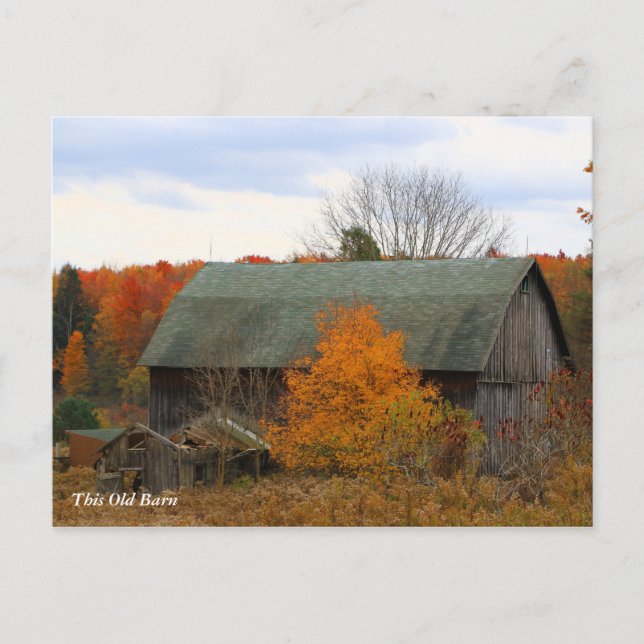 This Old Barn Postcard (Front)