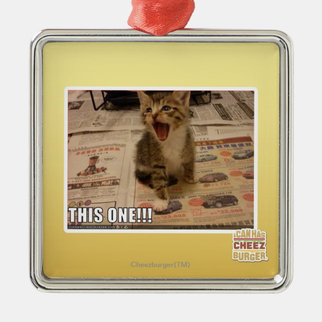 This one! metal ornament (Front)